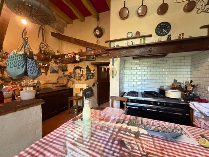 Photos 27 - Prestige - MARCIAC(32): ancienne SEIGNEURIE avec BEAU CHATEAU XIV sur 3,5ha, cachée, au bout du chemin, sans voisin, en campagne, 500m2 habitables, piscine chauffée, découvrez les riches heures des seigneurs
