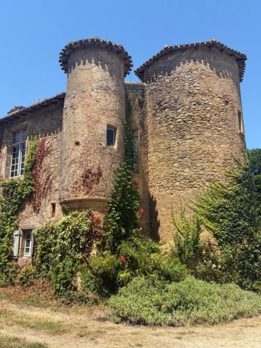 Photos 35 - Prestige - MARCIAC(32): ancienne SEIGNEURIE avec BEAU CHATEAU XIV sur 3,5ha, cachée, au bout du chemin, sans voisin, en campagne, 500m2 habitables, piscine chauffée, découvrez les riches heures des seigneurs