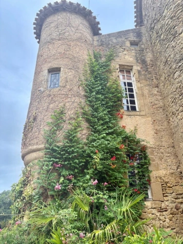Photos 42 - Prestige - MARCIAC(32): ancienne SEIGNEURIE avec BEAU CHATEAU XIV sur 3,5ha, cachée, au bout du chemin, sans voisin, en campagne, 500m2 habitables, piscine chauffée, découvrez les riches heures des seigneurs