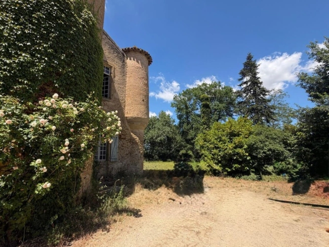 Photos 56 - Prestige - MARCIAC(32): ancienne SEIGNEURIE avec BEAU CHATEAU XIV sur 3,5ha, cachée, au bout du chemin, sans voisin, en campagne, 500m2 habitables, piscine chauffée, découvrez les riches heures des seigneurs