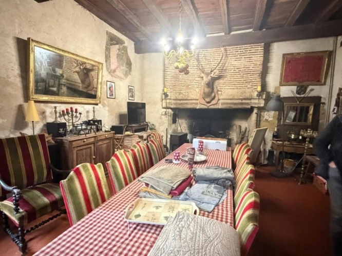 Photos 63 - Prestige - MARCIAC(32): ancienne SEIGNEURIE avec BEAU CHATEAU XIV sur 3,5ha, cachée, au bout du chemin, sans voisin, en campagne, 500m2 habitables, piscine chauffée, découvrez les riches heures des seigneurs