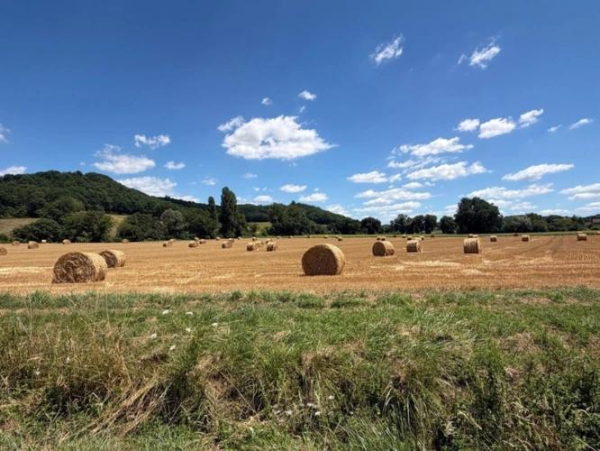 Photos 65 - Prestige - MARCIAC(32): ancienne SEIGNEURIE avec BEAU CHATEAU XIV sur 3,5ha, cachée, au bout du chemin, sans voisin, en campagne, 500m2 habitables, piscine chauffée, découvrez les riches heures des seigneurs