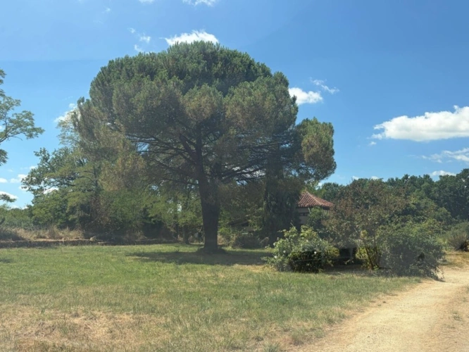 Photos 66 - Prestige - MARCIAC(32): ancienne SEIGNEURIE avec BEAU CHATEAU XIV sur 3,5ha, cachée, au bout du chemin, sans voisin, en campagne, 500m2 habitables, piscine chauffée, découvrez les riches heures des seigneurs