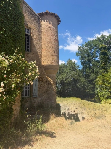Photos 68 - Prestige - MARCIAC(32): ancienne SEIGNEURIE avec BEAU CHATEAU XIV sur 3,5ha, cachée, au bout du chemin, sans voisin, en campagne, 500m2 habitables, piscine chauffée, découvrez les riches heures des seigneurs