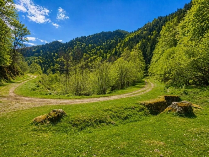 Photos 3 - Rurale - Magnifique Grange sur les hauteurs de Beyrèdes