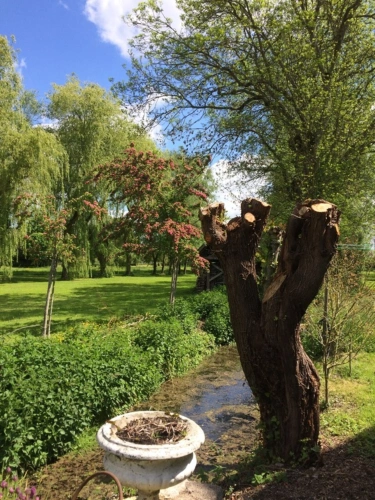 Photos 8 - Prestige - Propriété à vendre proche de SANCERRE