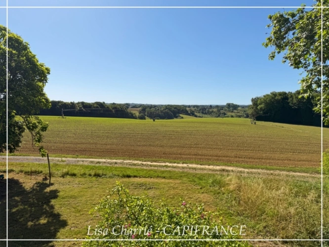 Photos 5 - Touristique - Propriete à vendre 11 pièces de 406 m2 habitables au total, avec dépendance sur 5261 m2 proche de NOGARO (32)