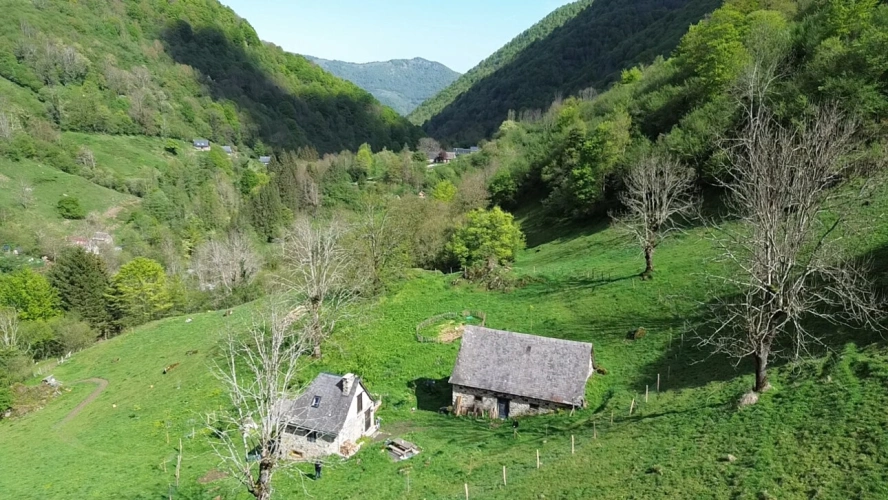 Photos 1 - Rurale - Propriété rurale,3 granges,5 Ha,source,09800