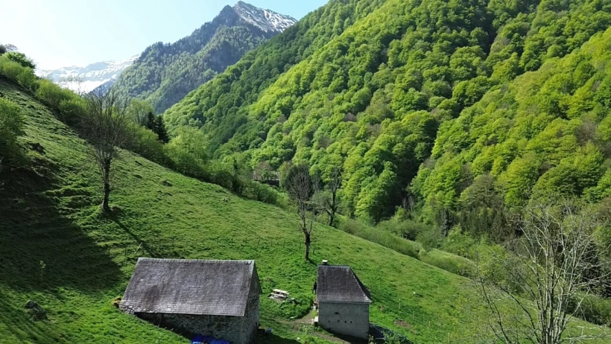 Photos 2 - Rurale - Propriété rurale,3 granges,5 Ha,source,09800