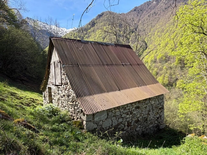 Photos 3 - Rurale - Propriété rurale,3 granges,5 Ha,source,09800