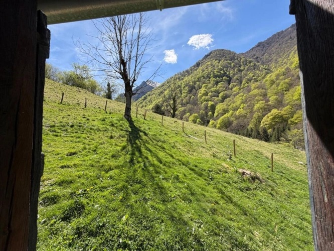 Photos 18 - Rurale - Propriété rurale,3 granges,5 Ha,source,09800