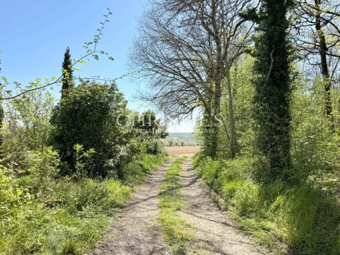 Photos 28 - Rural - An Artist’s Retreat in Complete Seclusion – Open Views and Absolute Tranquillity