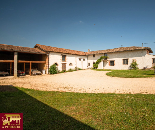 Photos 4 - Équestre - Propriété équestre et locatif 4 hectares