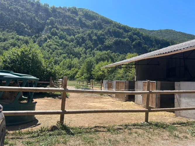 Photos 3 - Équestre - À vendre – Exploitation équestre clé en main à seulement 1 heure de Nice – 225 000 €