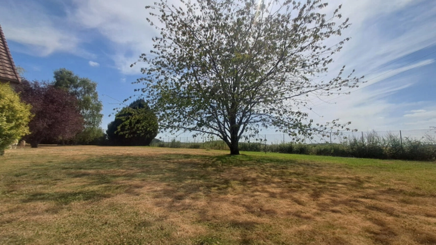 Photos 21 - Rurale - LE THOULT TROSNAY (51) à vendre superbe corps de ferme restauré sur un terrain clos de plus de 8600 m2 avec étang