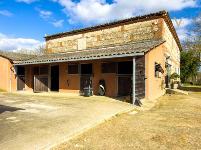 Photos 15 - Équestre - Propriété équestre de standing – Installations haut de gamme – 5 ha – Un bien rare offrant des infrastructures professionnelles, une maison confortable et un environnement priviligé à MOISSAC (82)