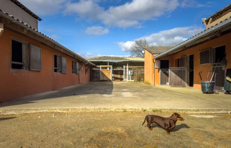Photos 16 - Équestre - Propriété équestre de standing – Installations haut de gamme – 5 ha – Un bien rare offrant des infrastructures professionnelles, une maison confortable et un environnement priviligé à MOISSAC (82)