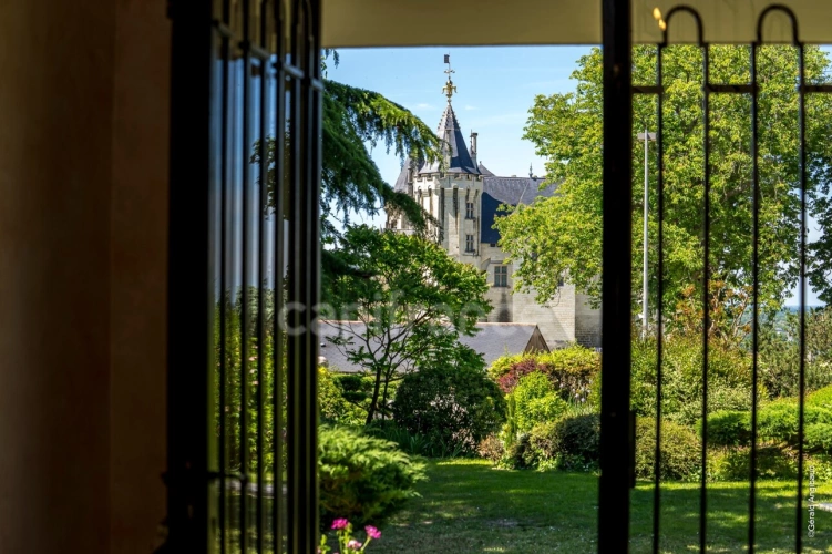 Photos 1 - Prestigious - Exceptional property for sale in SAUMUR (49400) - Stunning panoramic views of the castle and the Loi
