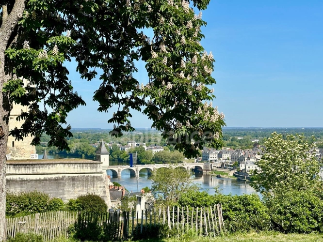 Photos 3 - Prestigious - Exceptional property for sale in SAUMUR (49400) - Stunning panoramic views of the castle and the Loi