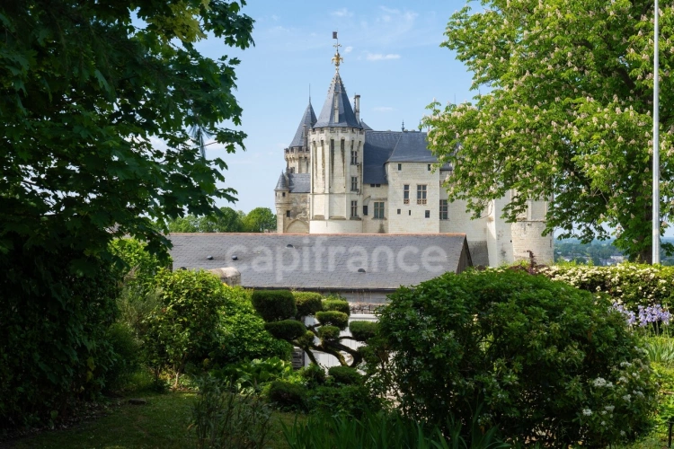 Photos 9 - Prestigious - Exceptional property for sale in SAUMUR (49400) - Stunning panoramic views of the castle and the Loi