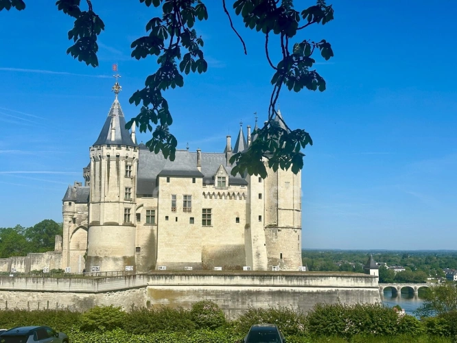 Photos 14 - Prestigious - Exceptional property for sale in SAUMUR (49400) - Stunning panoramic views of the castle and the Loi