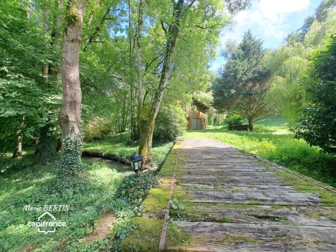 Photos 3 - Équestre - Propriété à vendre 11 pièces CELLES SUR BELLE (79)