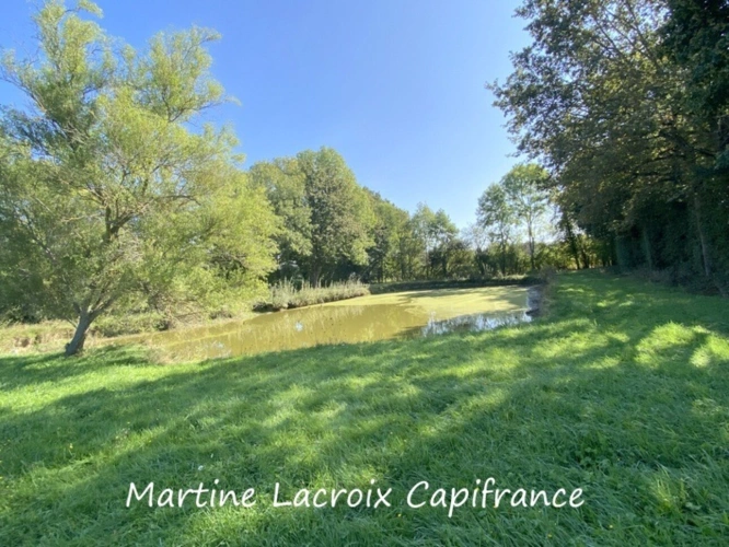 Photos 44 - Prestige - Dpt SARTHE (72), à vendre CORMES - PROPRIÉTÉ  P8 de 226 m² - Terrain de 2,50 Ha
