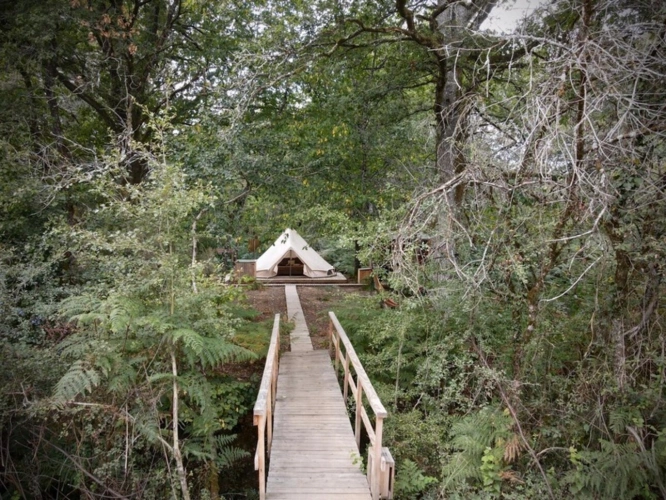 Photos 3 - Forestière - Opportunité d'affaires exceptionnelle : domaine de 24 hectares comprenant 15 hectares d'étangs, parfait pour divers projets touristiques et commerciaux. Avec une activité de location de tentes glampin