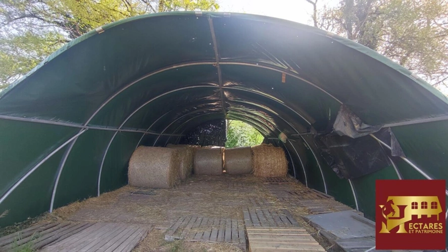 Photos 17 - Équestre - Propriété sans voisins 3,4 hectares