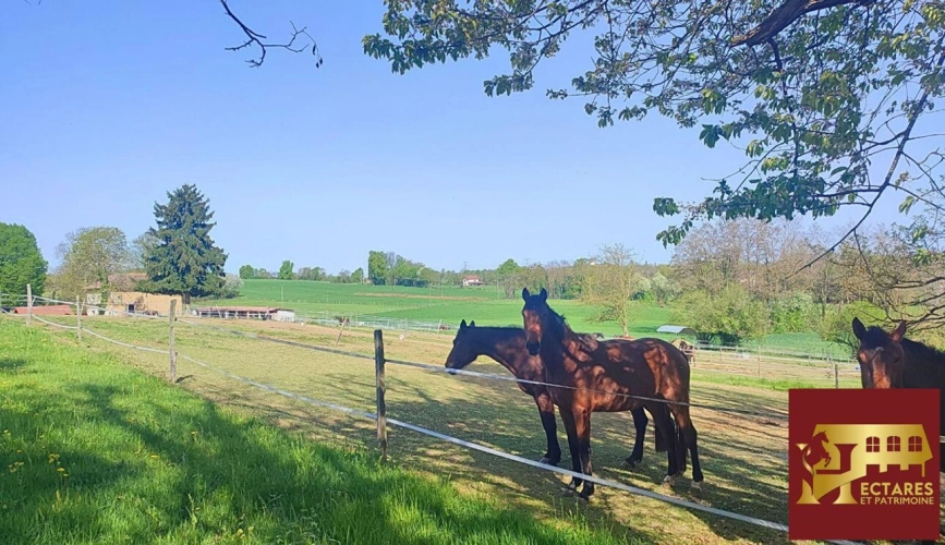 Photos 1 - Équestre - Propriété sans voisins 3,4 hectares