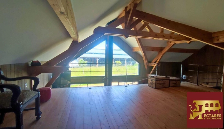 Photos 10 - Equestrian - Propriété équestre 2,6 hectares