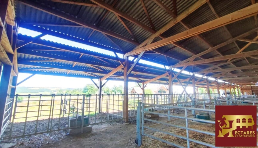 Photos 12 - Equestrian - Propriété équestre 2,6 hectares