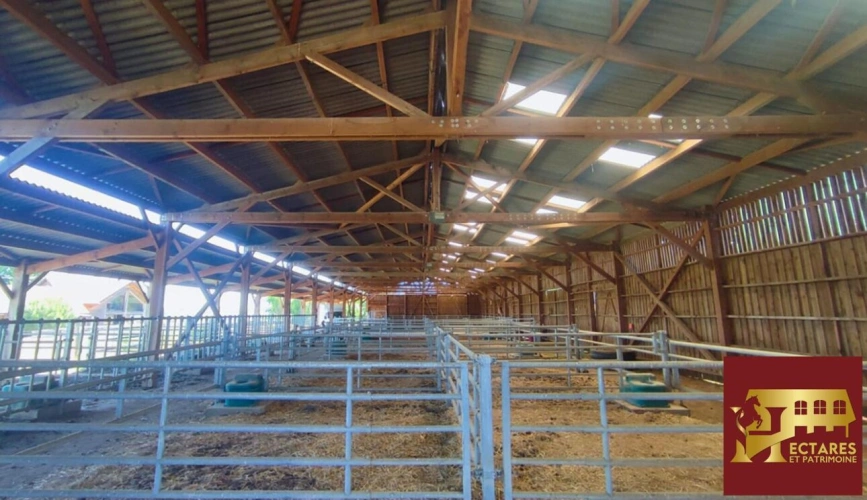 Photos 13 - Equestrian - Propriété équestre 2,6 hectares