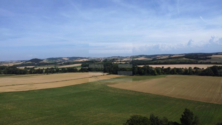 Photos 1 - Agricole - Terrain agricole