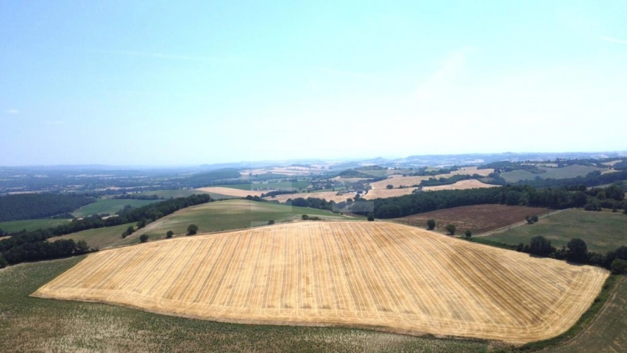 Photos 1 - Agricole - Terrain agricole