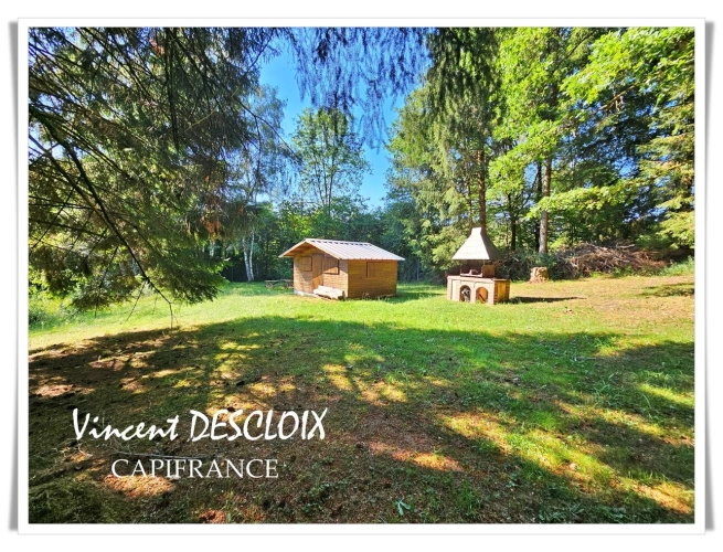 Photos 2 - Rurale - Terrain 19 965m² avec étang à vendre  GIEN SUR CURE (58230)