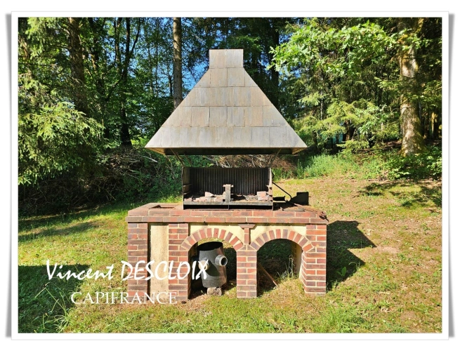 Photos 3 - Rurale - Terrain 19 965m² avec étang à vendre  GIEN SUR CURE (58230)