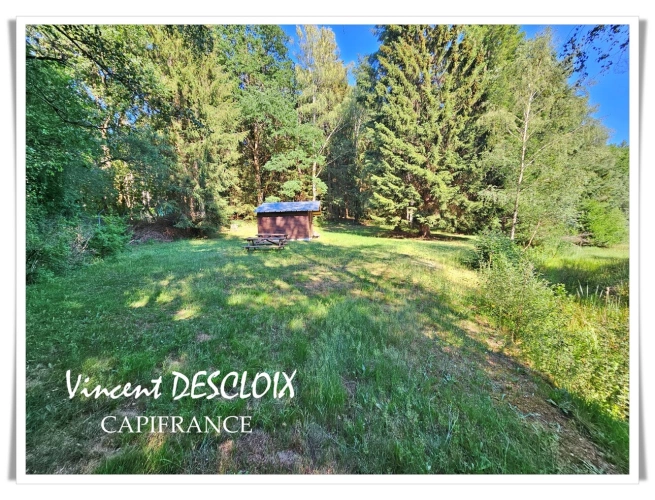 Photos 13 - Rurale - Terrain 19 965m² avec étang à vendre  GIEN SUR CURE (58230)
