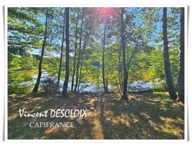 Photos 14 - Rurale - Terrain 19 965m² avec étang à vendre  GIEN SUR CURE (58230)
