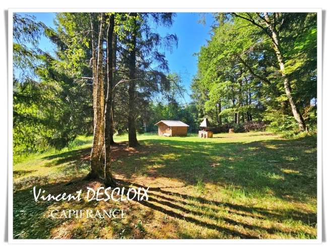 Photos 15 - Rurale - Terrain 19 965m² avec étang à vendre  GIEN SUR CURE (58230)
