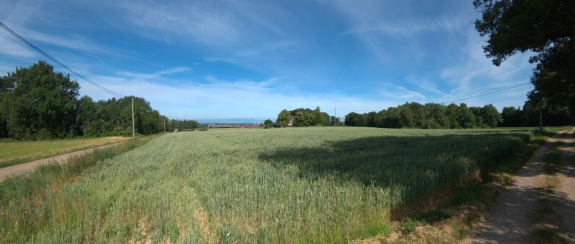 Photos 1 - Agricole - A vendre - Roybon (38940) – 3 parcelles de terrain agricole avec potentiel de loisirs et d'activités nature