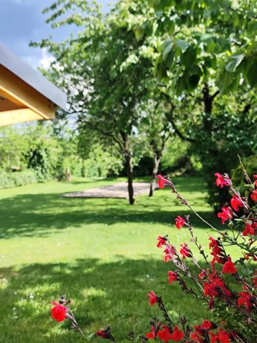 Photos 11 - Touristique - Maison principale, 3 gîtes **** sur 1 hectare, Bournazel, Aveyron