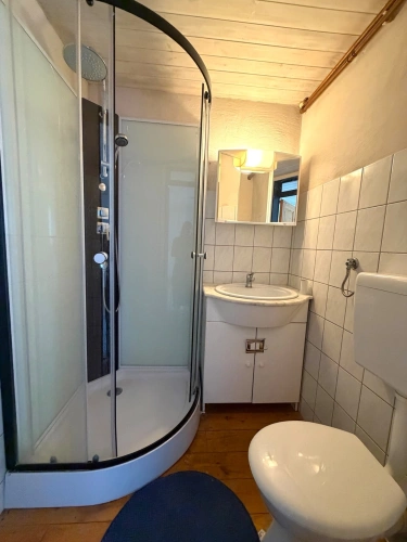 Photos 16 - Prestige - Propriete à vendre 8 pièces MONTEGUT (65)