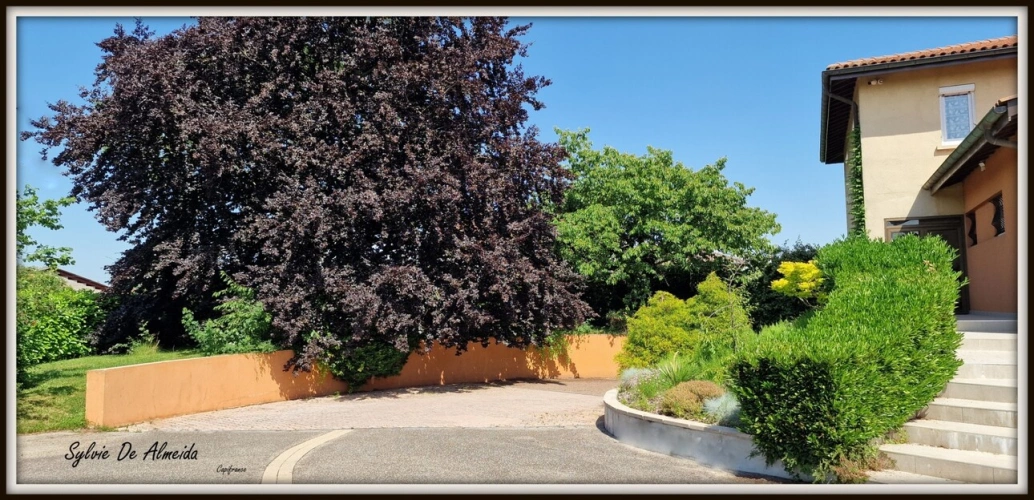 Photos 24 - Prestige - Propriete à vendre 8 pièces 285 m² REPLONGES (01), Piscine, 4 suites, double garage, terrain 2136 m²
