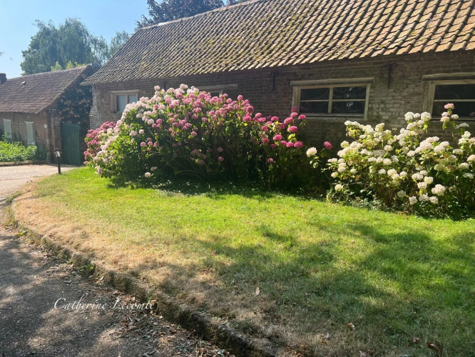 Photos 27 - Touristique - À VENDRE - SAMER - DOMAINE D'EXCEPTION - 379 M2 - ÉLÉGANTE DEMEURE DE CARACTERE SUR 3 HECTARES  - VIE SEMI PLAIN-PIED - 2 ÉME MAISON - DÉPENDANCES