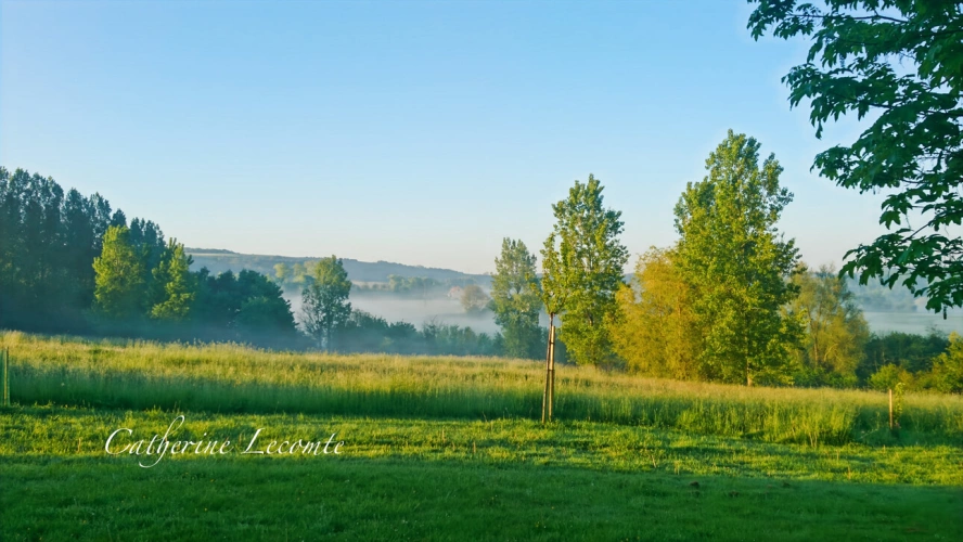 Photos 28 - Touristique - À VENDRE - SAMER - DOMAINE D'EXCEPTION - 379 M2 - ÉLÉGANTE DEMEURE DE CARACTERE SUR 3 HECTARES  - VIE SEMI PLAIN-PIED - 2 ÉME MAISON - DÉPENDANCES