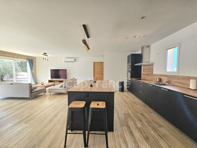 Photos 4 - Prestige - Ensemble immobilier de 368 m2 divisé en 3 habitations, piscine, terrain 1683 m2 à VESCOVATO (Haute Corse)