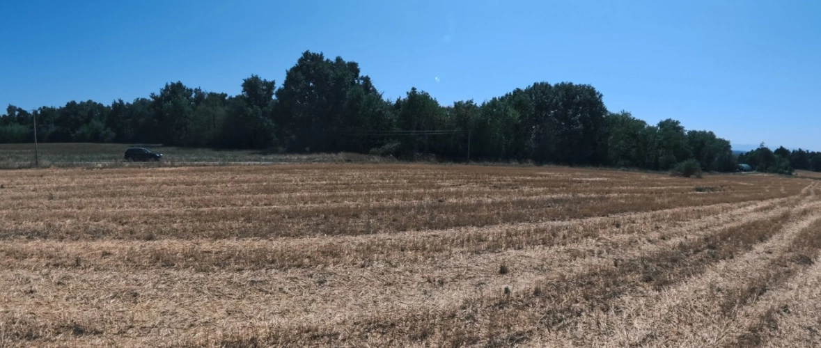Photos 7 - Agricole - A vendre - Roybon (38940) – 3 parcelles de terrain agricole avec potentiel de loisirs et d'activités nature