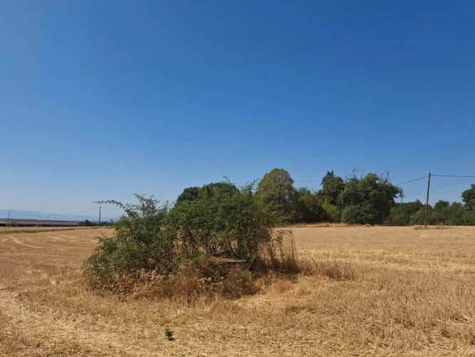 Photos 2 - Agricole - A vendre - Roybon (38940) – 3 parcelles de terrain agricole avec potentiel de loisirs et d'activités nature
