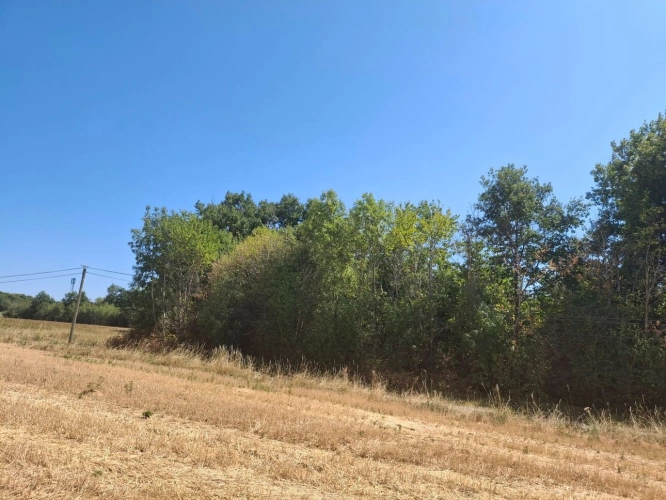 Photos 3 - Agricole - A vendre - Roybon (38940) – 3 parcelles de terrain agricole avec potentiel de loisirs et d'activités nature